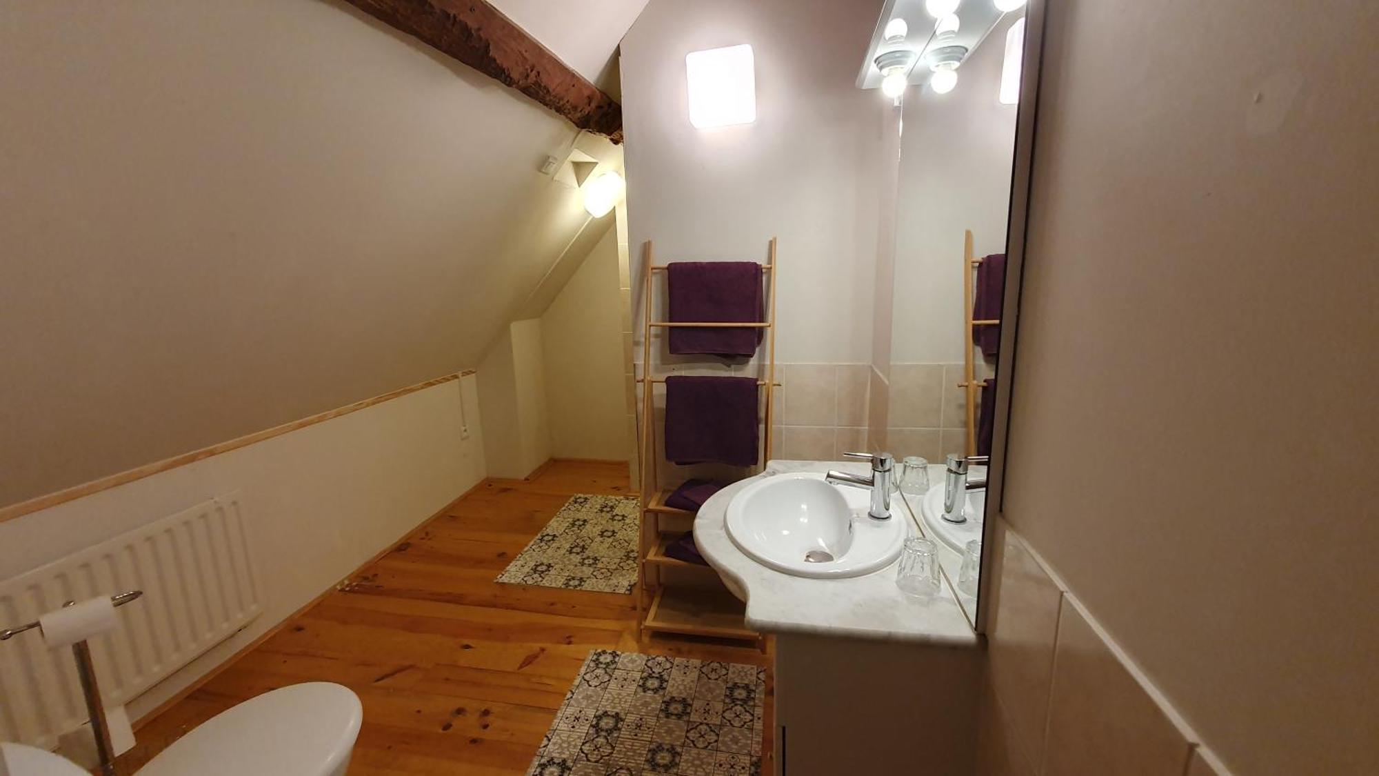 Le Coeur Du Moulin Apartment